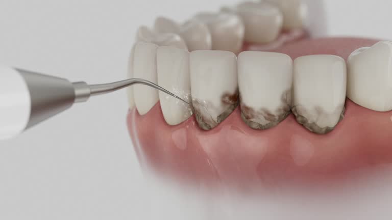 Reliable Dental contractor in Eaton Rapids, MI by Dentist Open Now